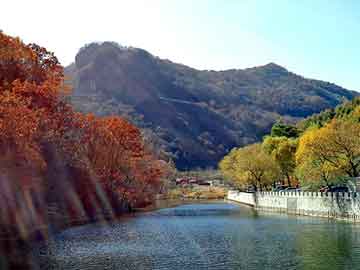 管家婆免费正版资起大全，大家乐彩票机